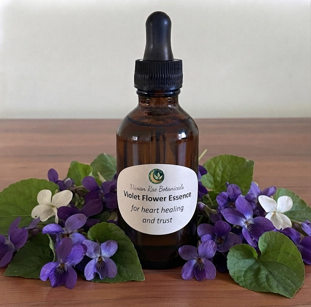 Violet Flower Essence
