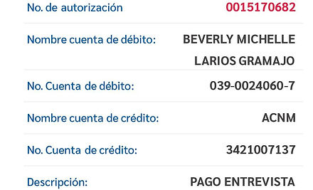 Ejemplo Boleta.jpg