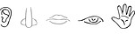 180823_Senses_Het Grorne.jpg