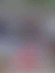 chepstow classic car event