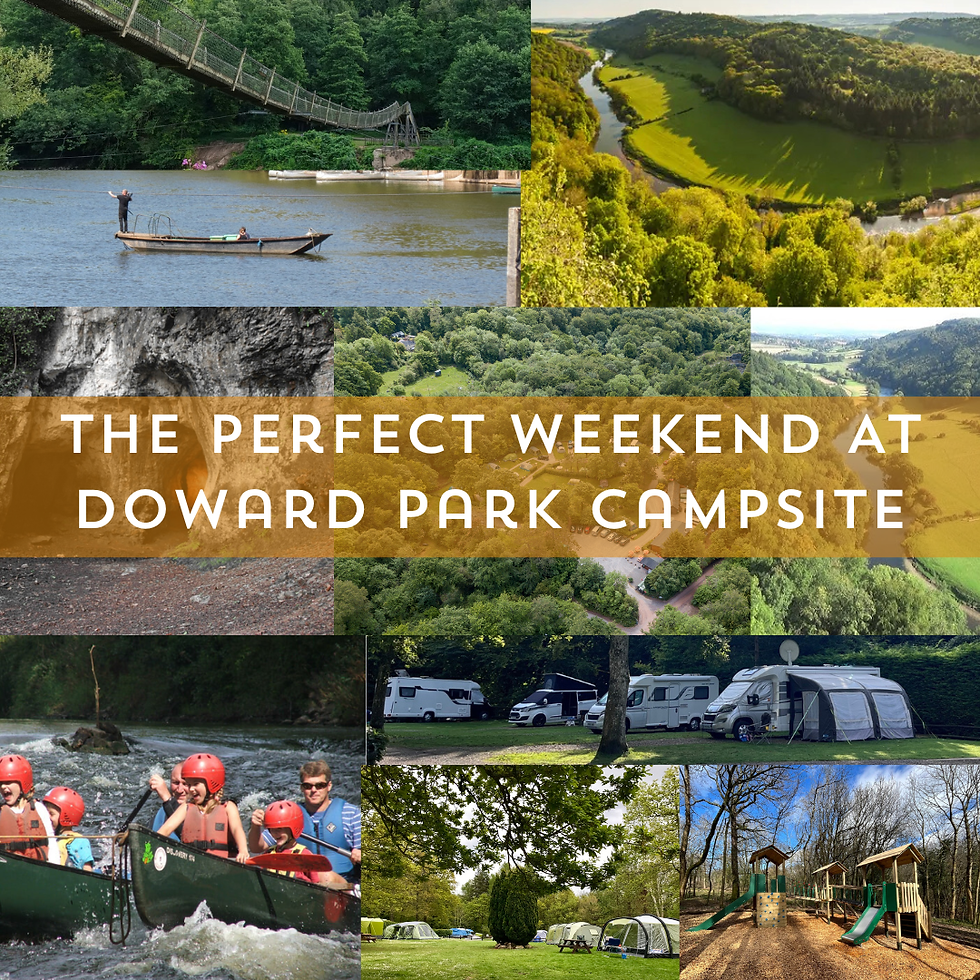perfect weekend at doward park campsite