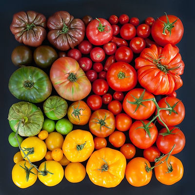 agricultura natura y cultivo bio intensivo.jpeg