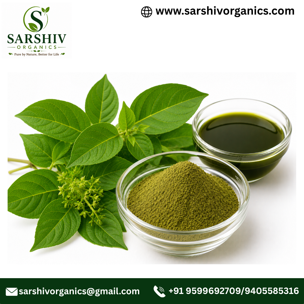 Gymnema sylvestre