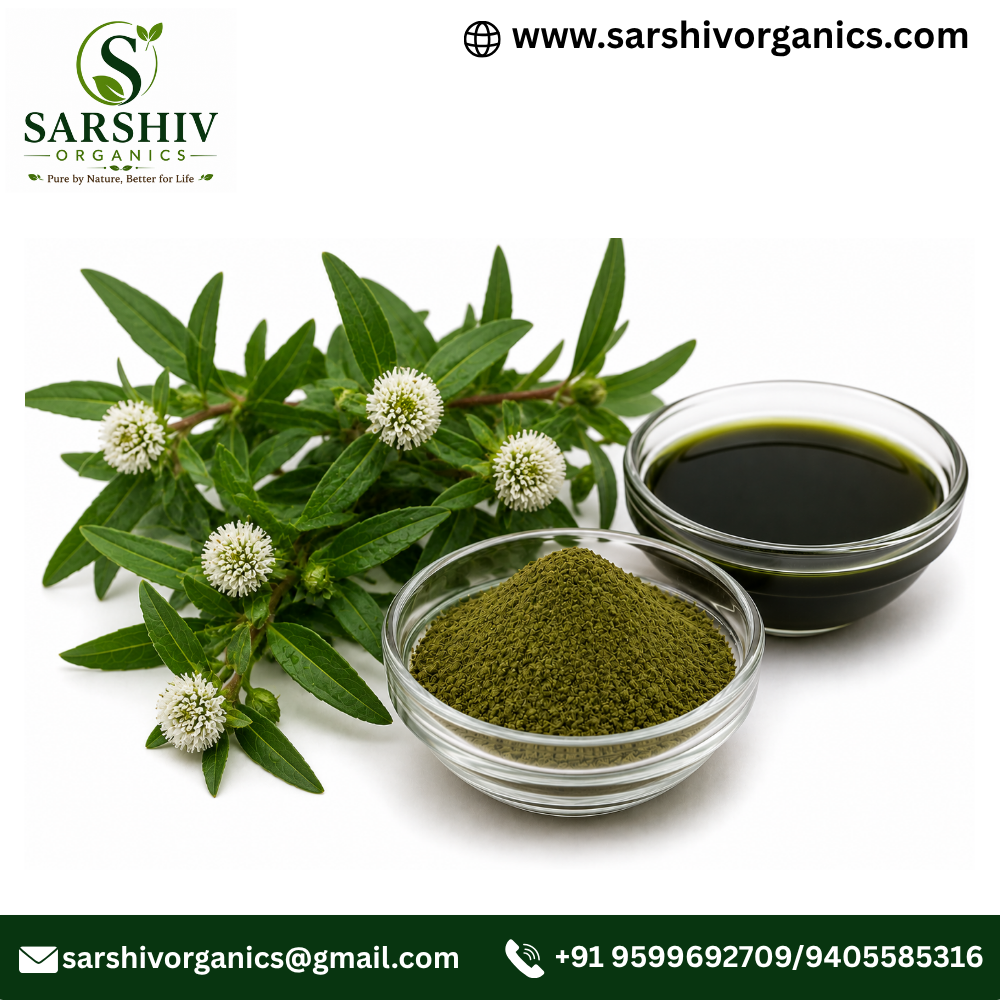 Bhringraj Extract