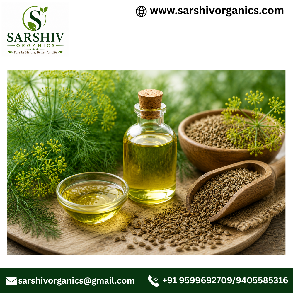 Dill Seed Oil