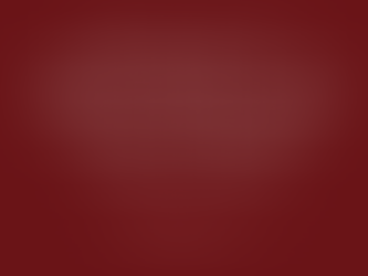 V. touched by this thoughtful, generous and entertaining review