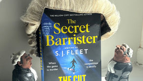 The Cut Throat Trial by the Secret Barrister, writing as S.J. Fleet - a review