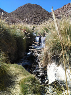 Termas de puritama