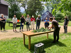 2022 Alan Bergo Foraging Workshop