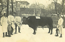 Zellinger Geschichte
