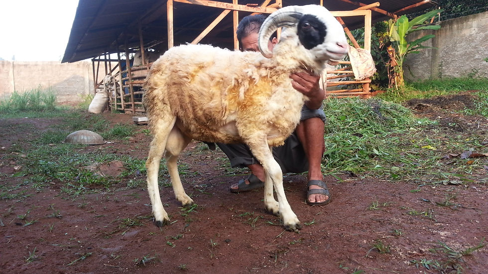 20140720_065523.jpg