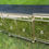 Thumbnail: Ebony & Mirrored Buffet