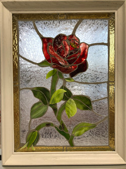 Mom's rose Jan 2020
