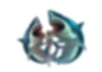 サメロゴ３