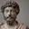 Writer: The Renaissance Surgeon