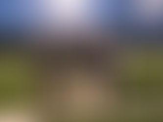 6 Lessons From Opioid-Free Surgery You Can Apply to Your Life