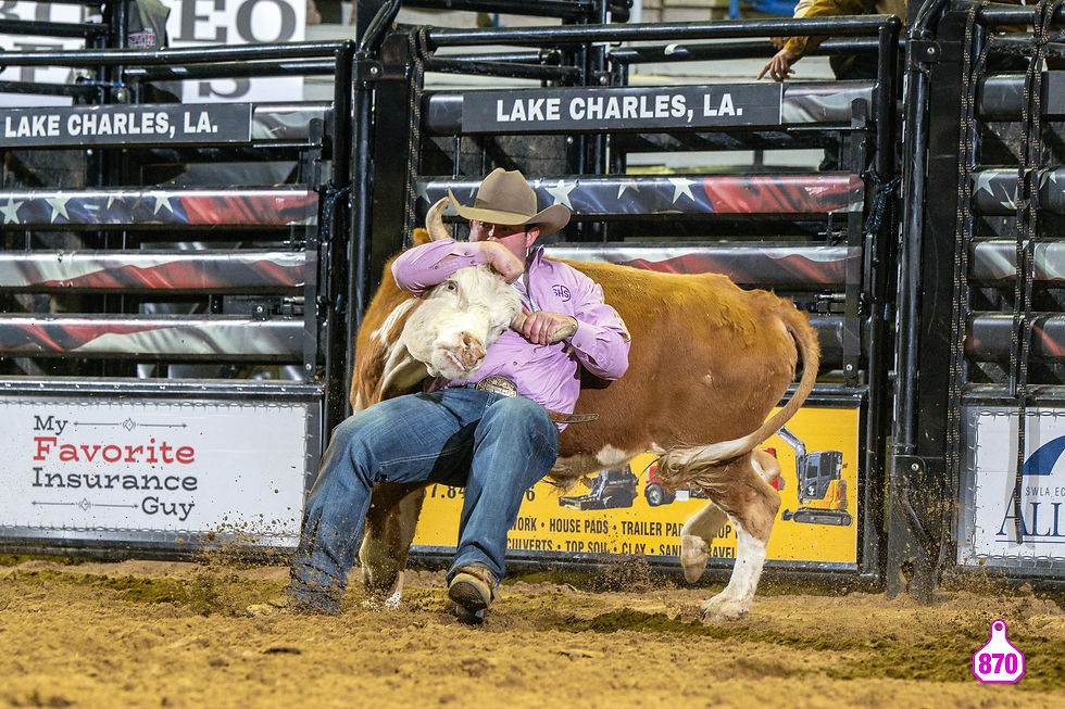 Cowboy wrestling a steer at a Lake Charles, LA rodeo.