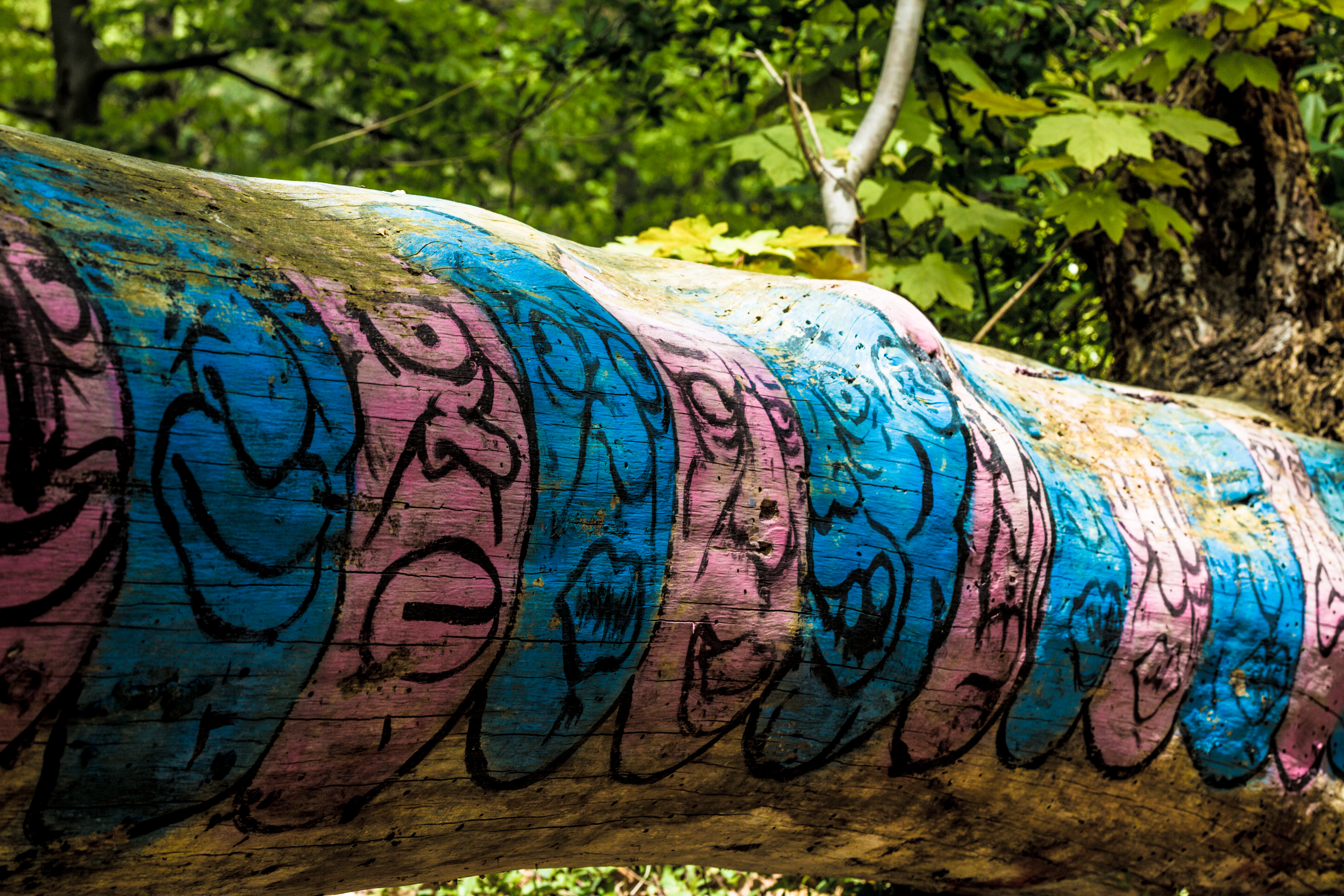 Urbex La Piscine De La Forêt