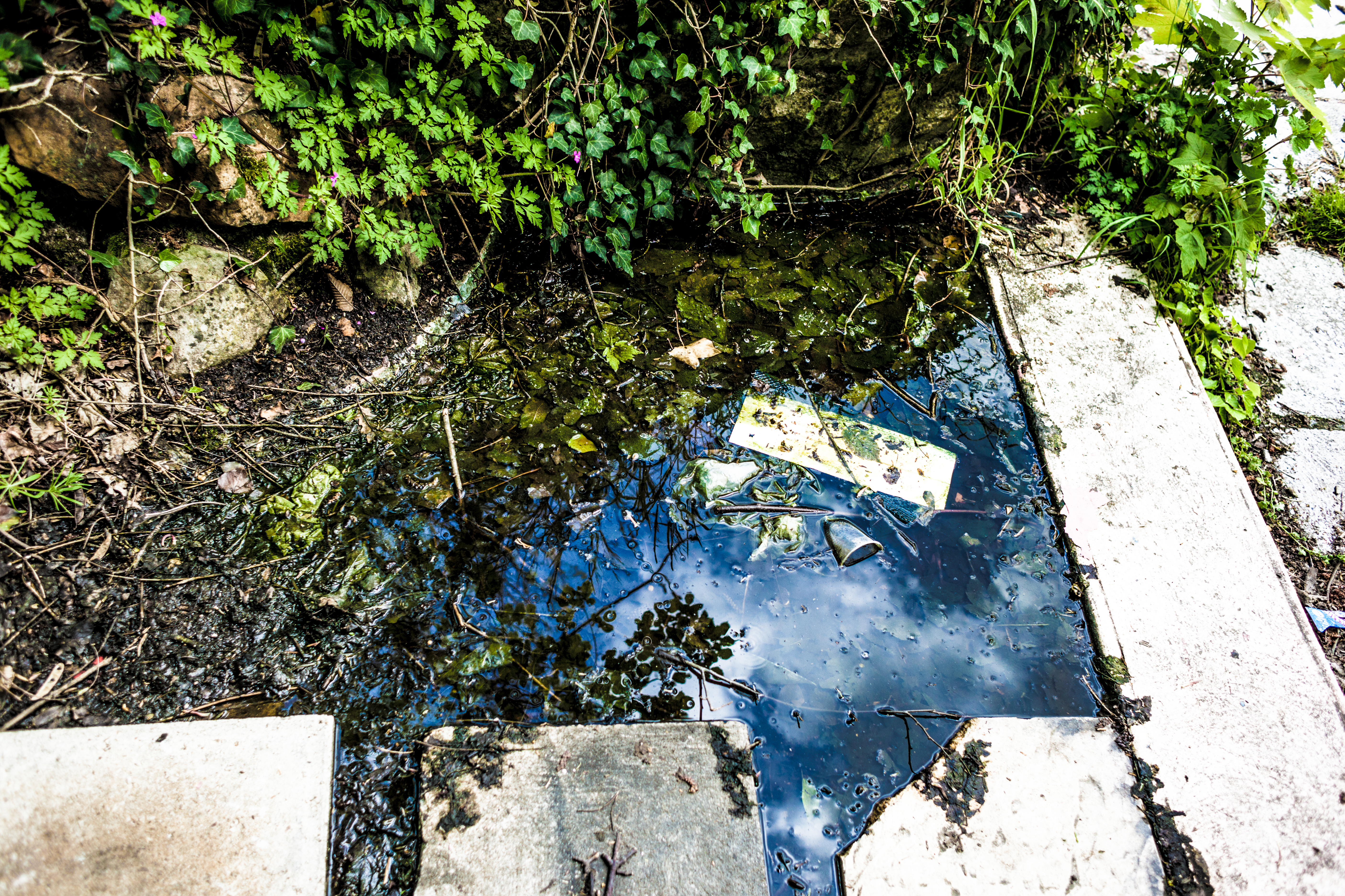 Urbex La Piscine De La Forêt