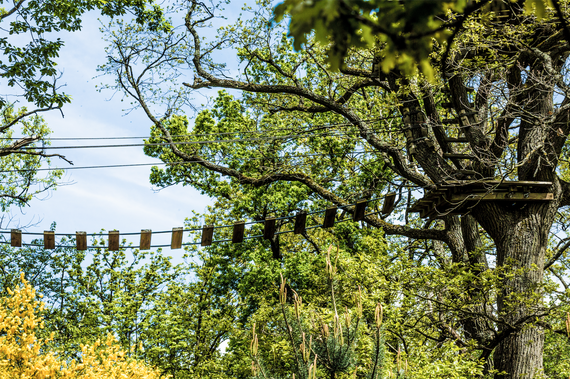 Urbex La Piscine De La Forêt