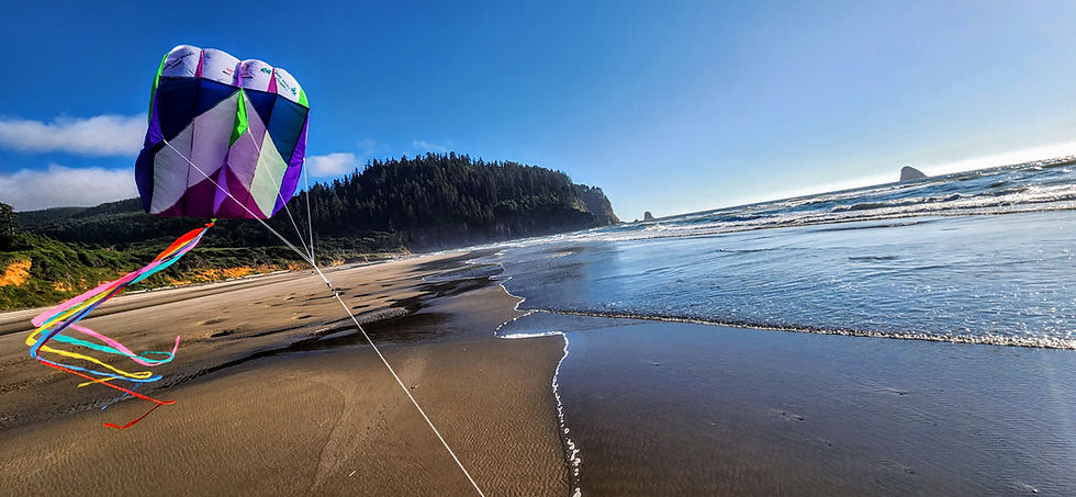 The Play's the thing