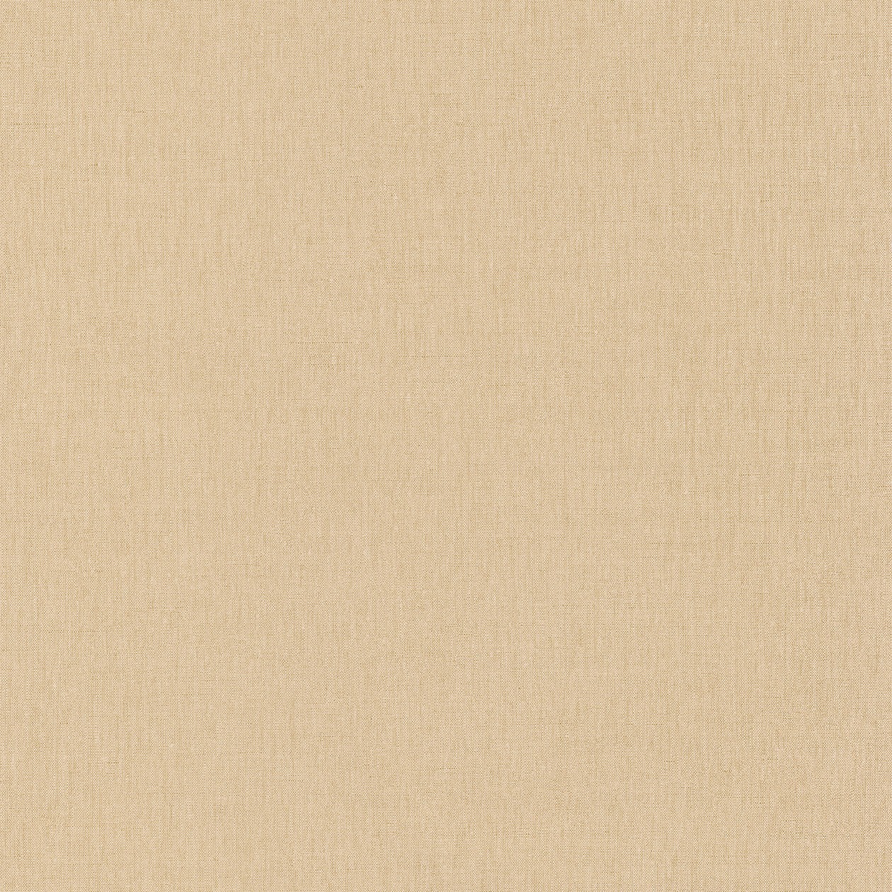 68521520_1472549672_1260.jpg