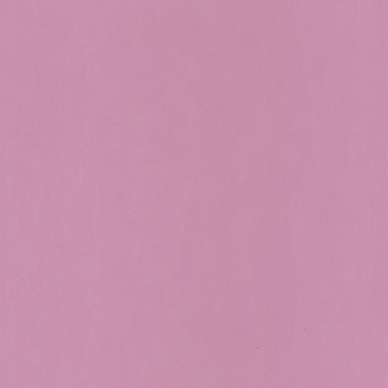 66325302_1490885673_1260