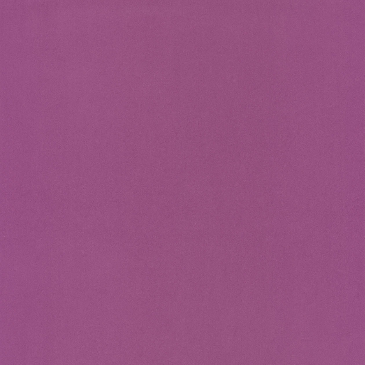 58045074_1490885668_1260