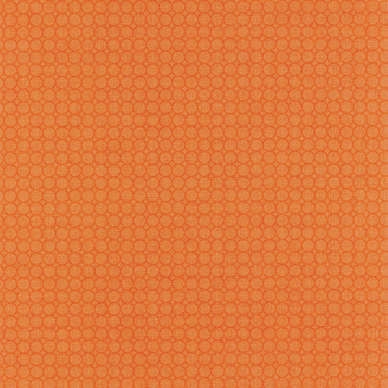 68873126_1484151108_1260