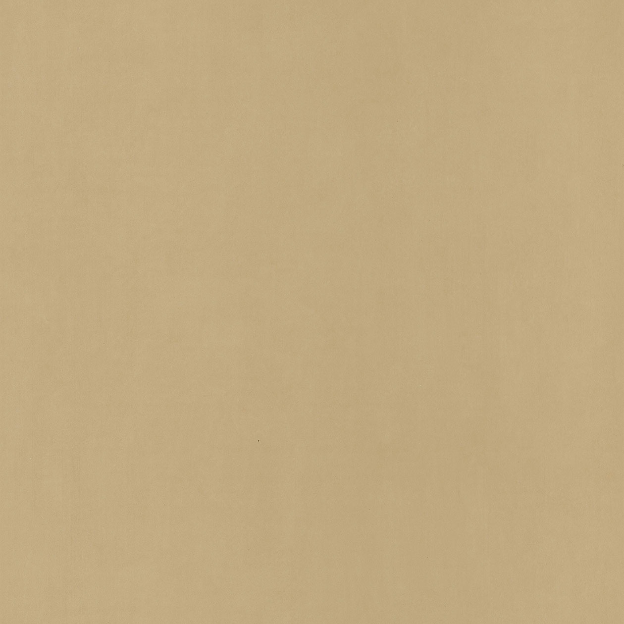 55421412_1490885667_1260