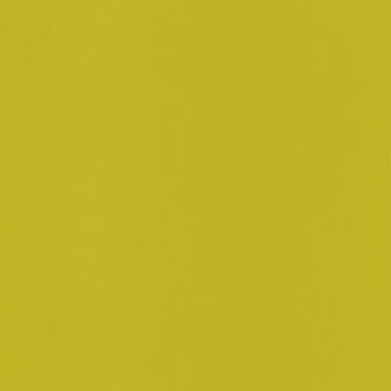 59657046_1490885669_1260