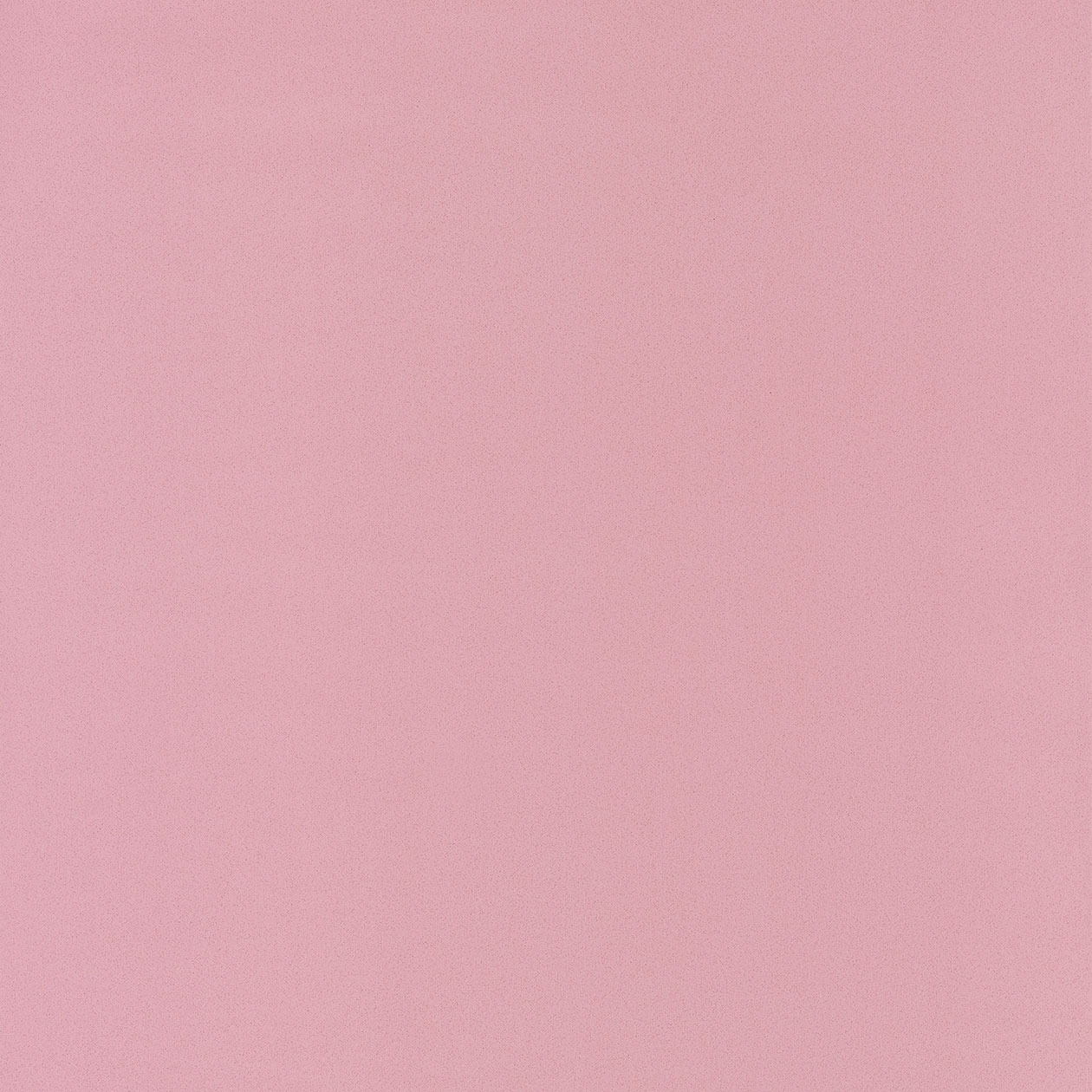 59654010_1490885669_1260