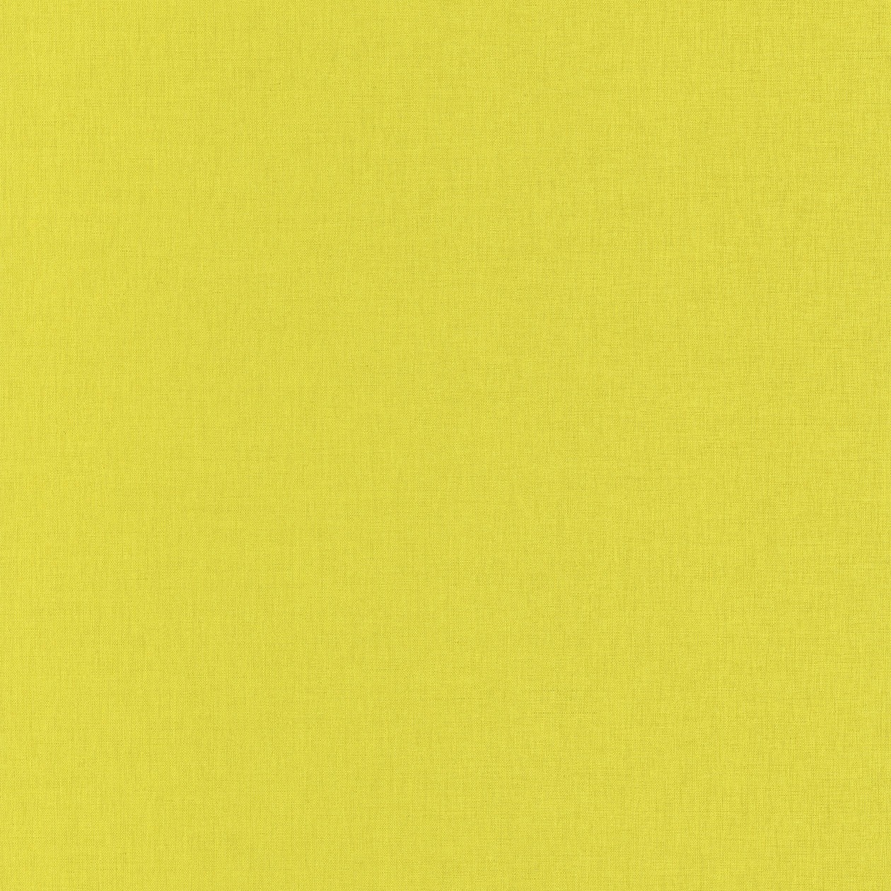 68527122_1472549689_1260.jpg