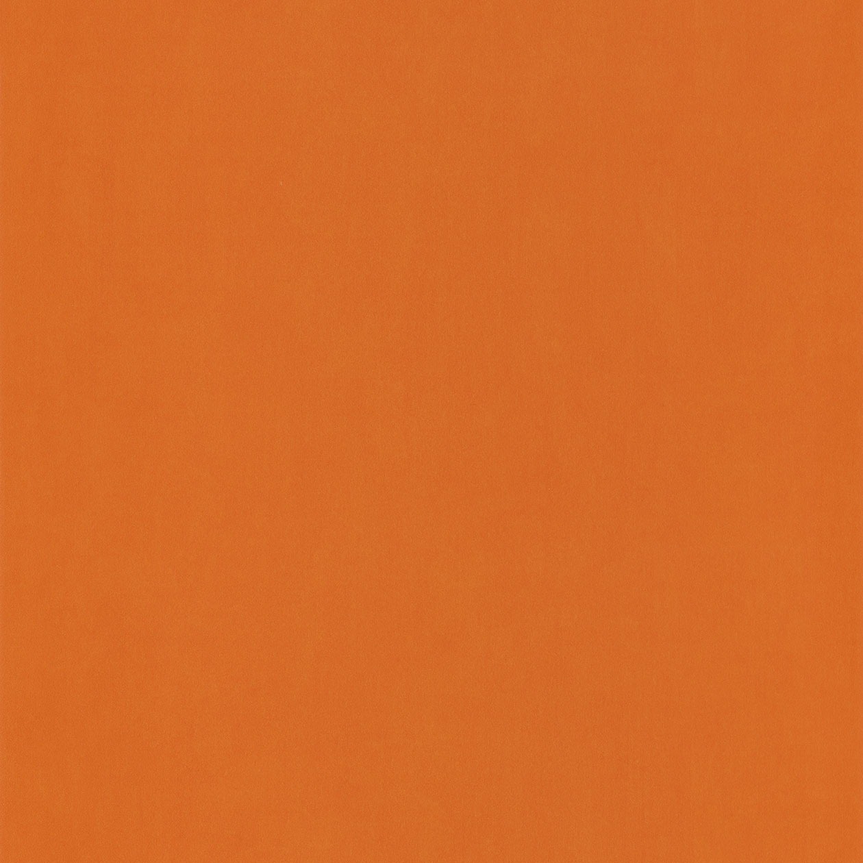 66323110_1490885672_1260
