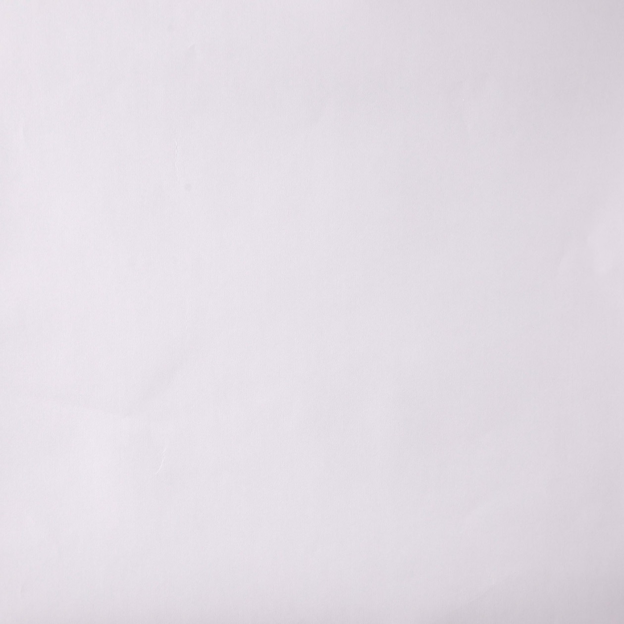 66324040_1432884747_1260.jpg