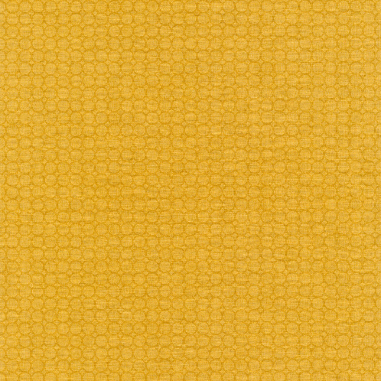 68872875_1484151107_1260