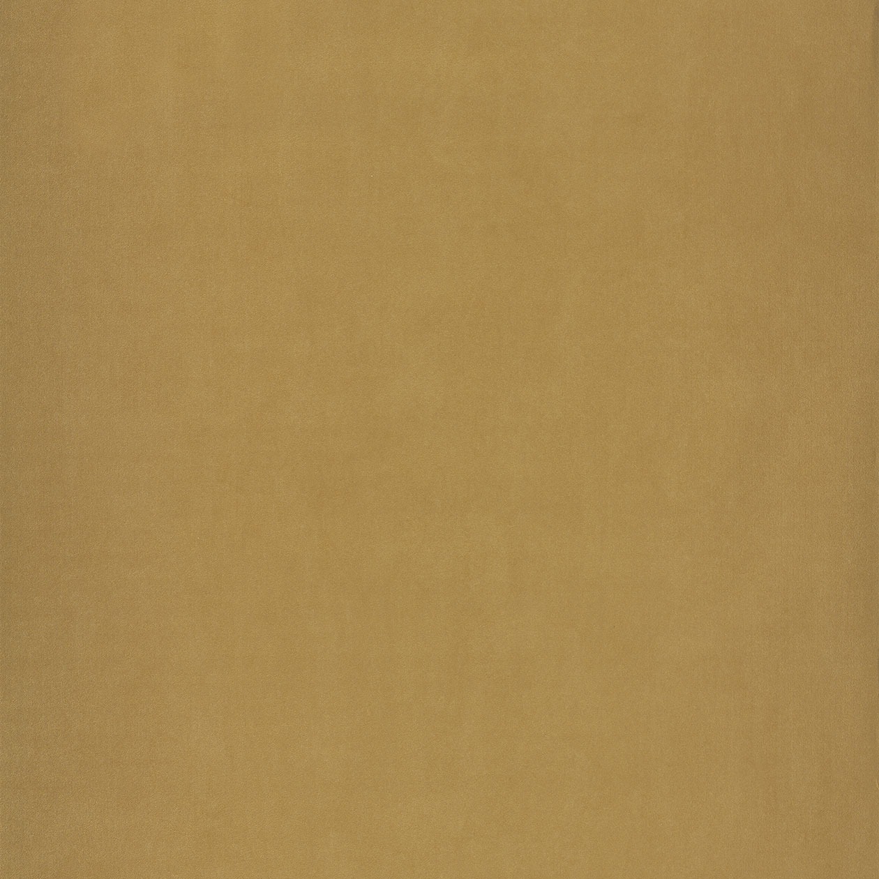 66322204_1490885671_1260