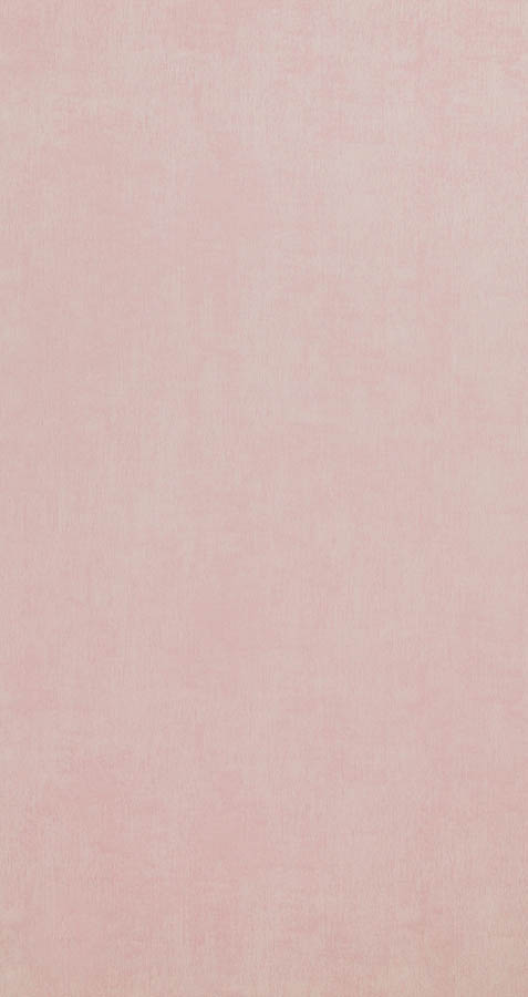48461 - Coral