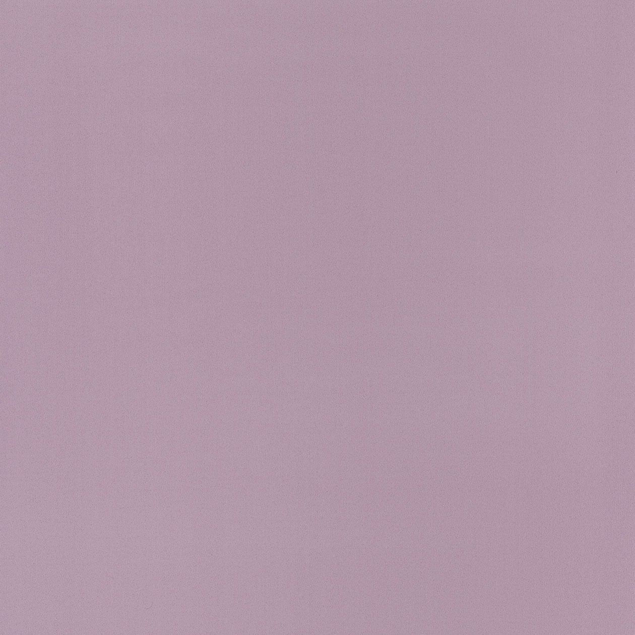 58045146_1490885668_1260