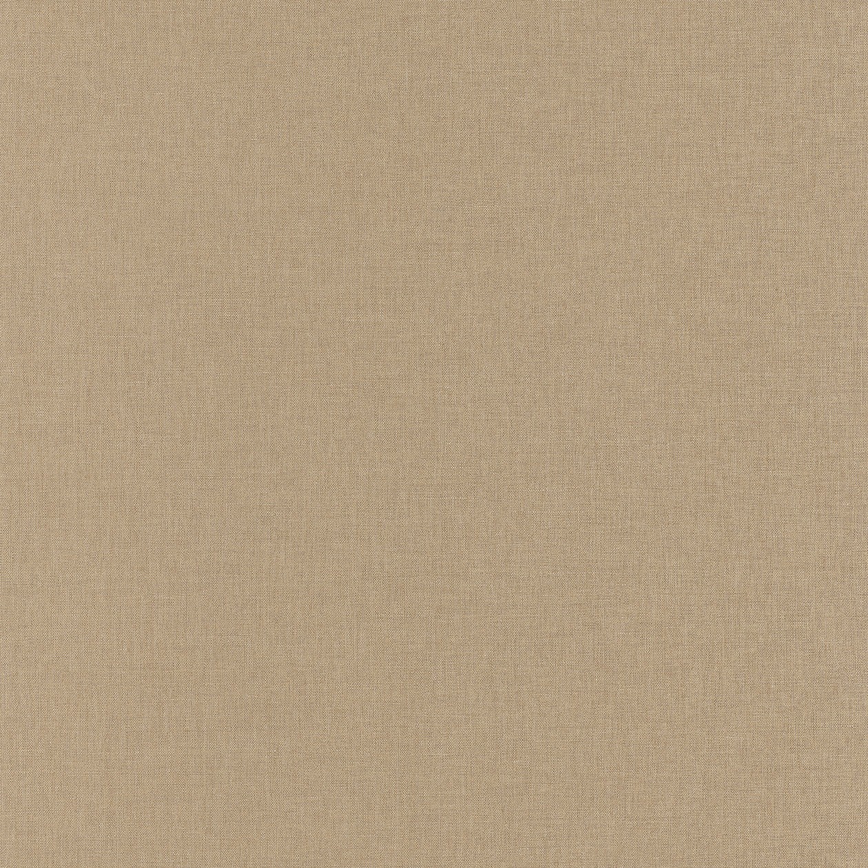 68521356_1472549671_1260.jpg