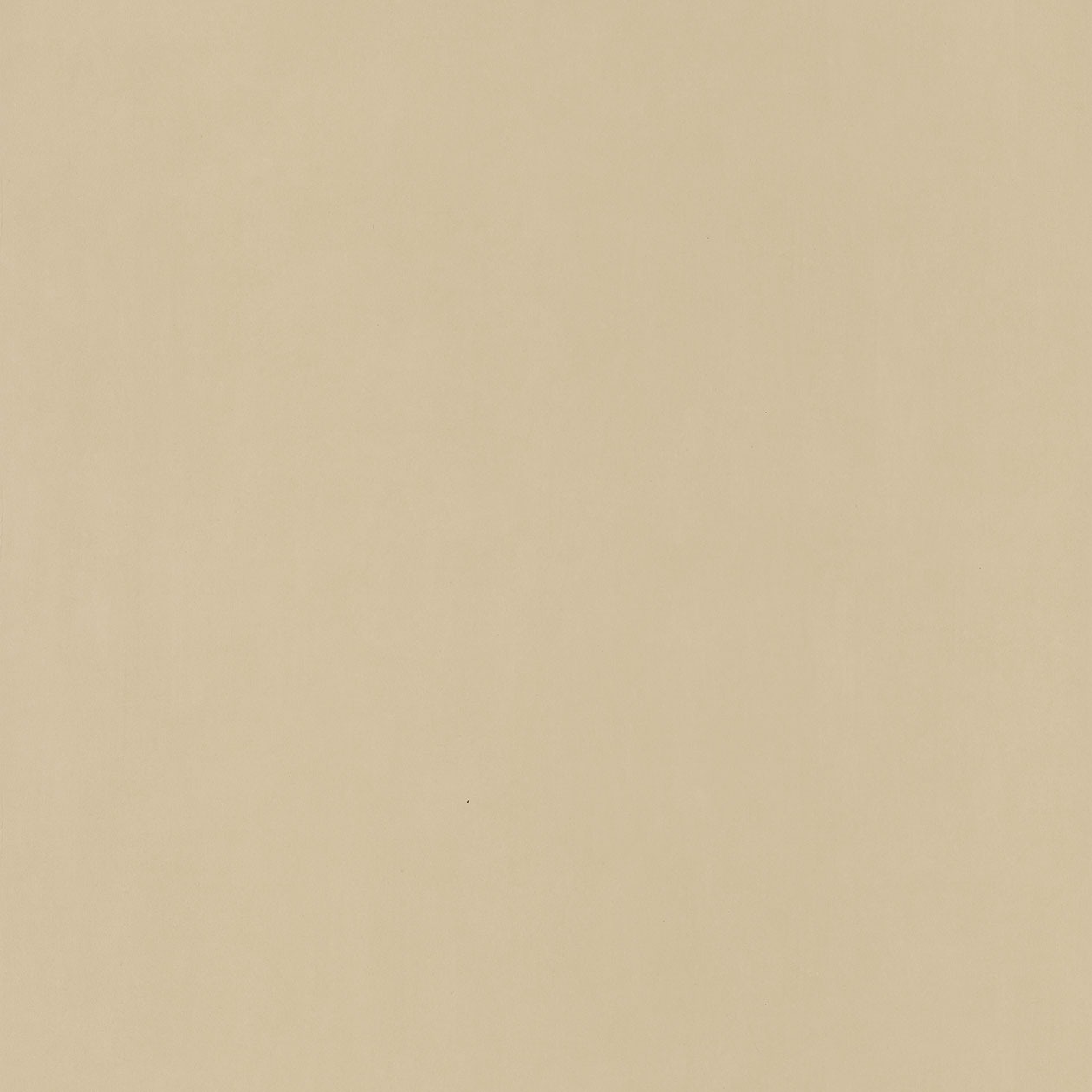 55421309_1490885667_1260
