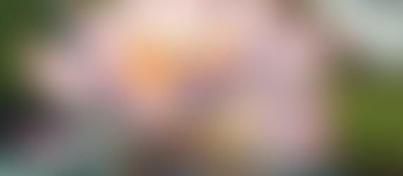 Empowering Birth Support in San Francisco