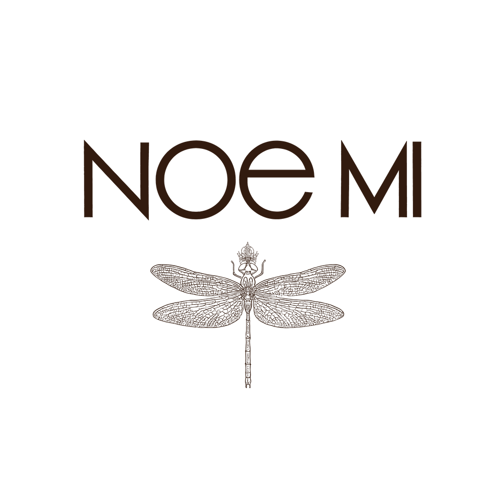 NOE MI with dragonfly_Dark