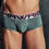 Miniatura: Brief Hawai