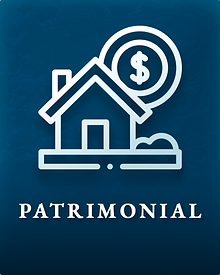 direito patrimonial