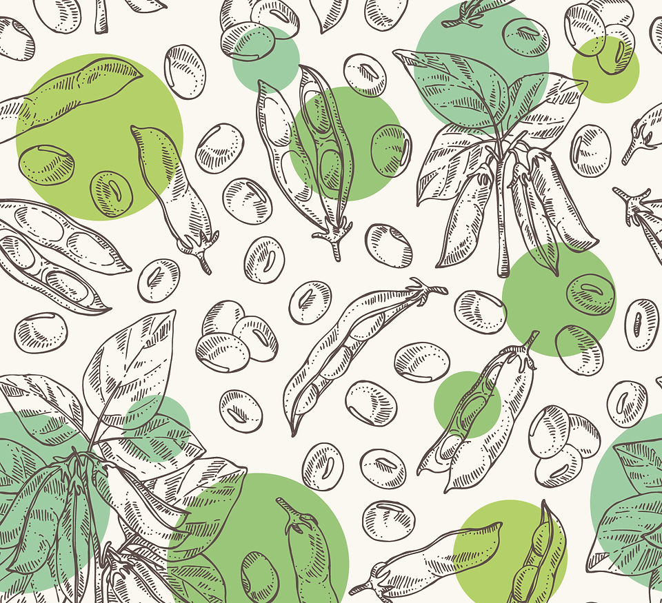 soybean_img.jpg