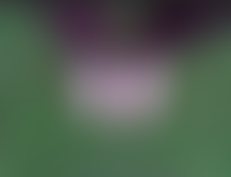 Pesisitkö sinä kaverin jalat?