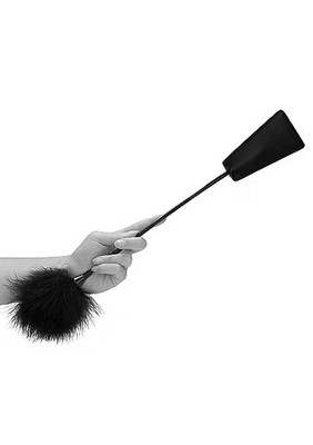 hand holding a small BDSM riding crop with a dual end feather tickler