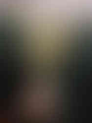 Green Camo- cheeky boyshort