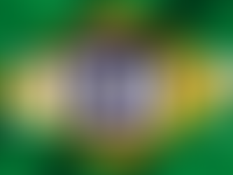    Paulo Guedes : un bilan de la 1ere année (4).